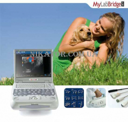 MyLab Five Vet - Фото 1