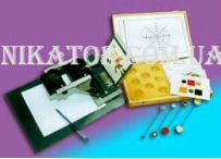 Бивизотренер